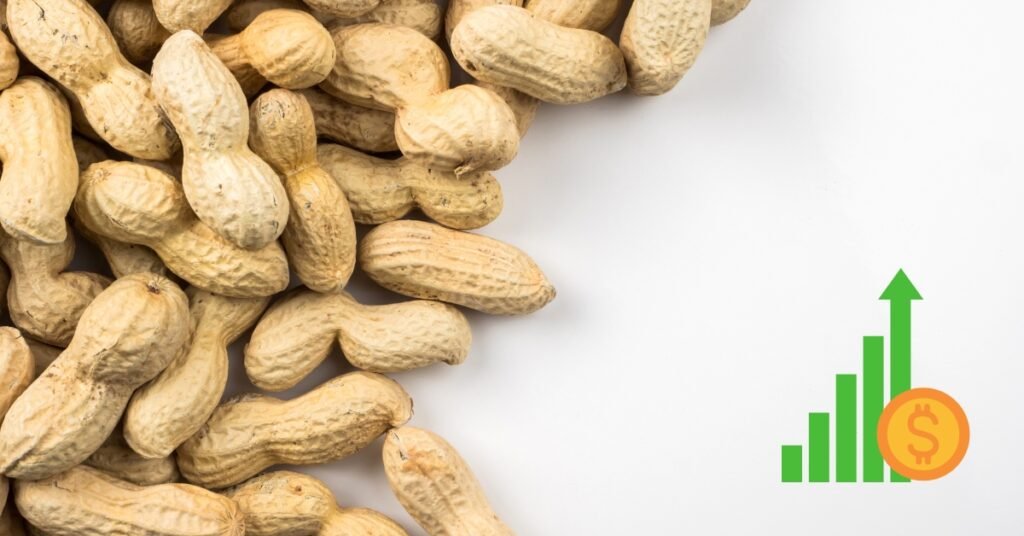 U.S. Peanut Industry Determined to Expand Export Markets