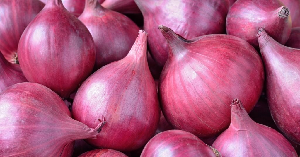 India Extends Onion Export Ban to Stabilize Prices