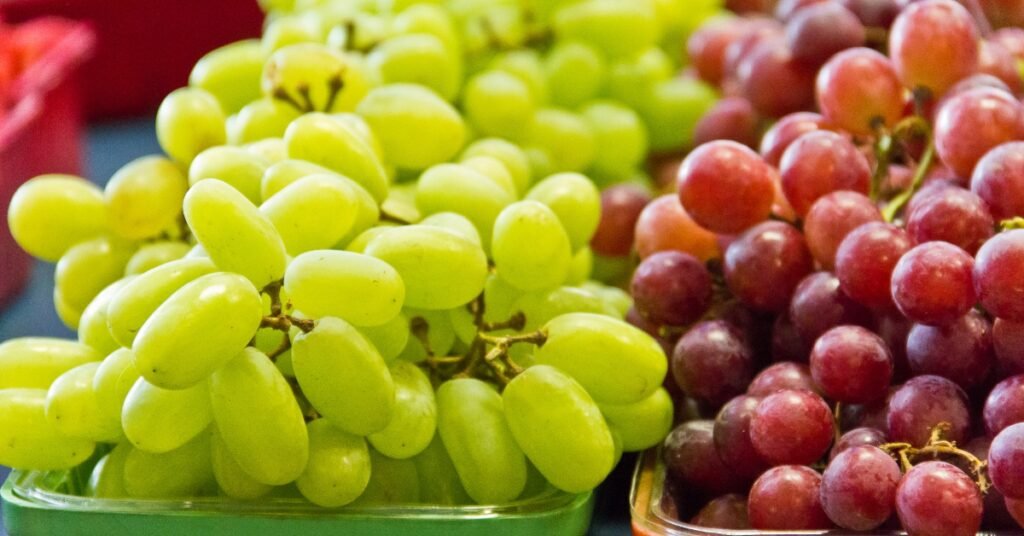 Rising Tide The Surge in India's Grape Exports Amidst Global Challenges