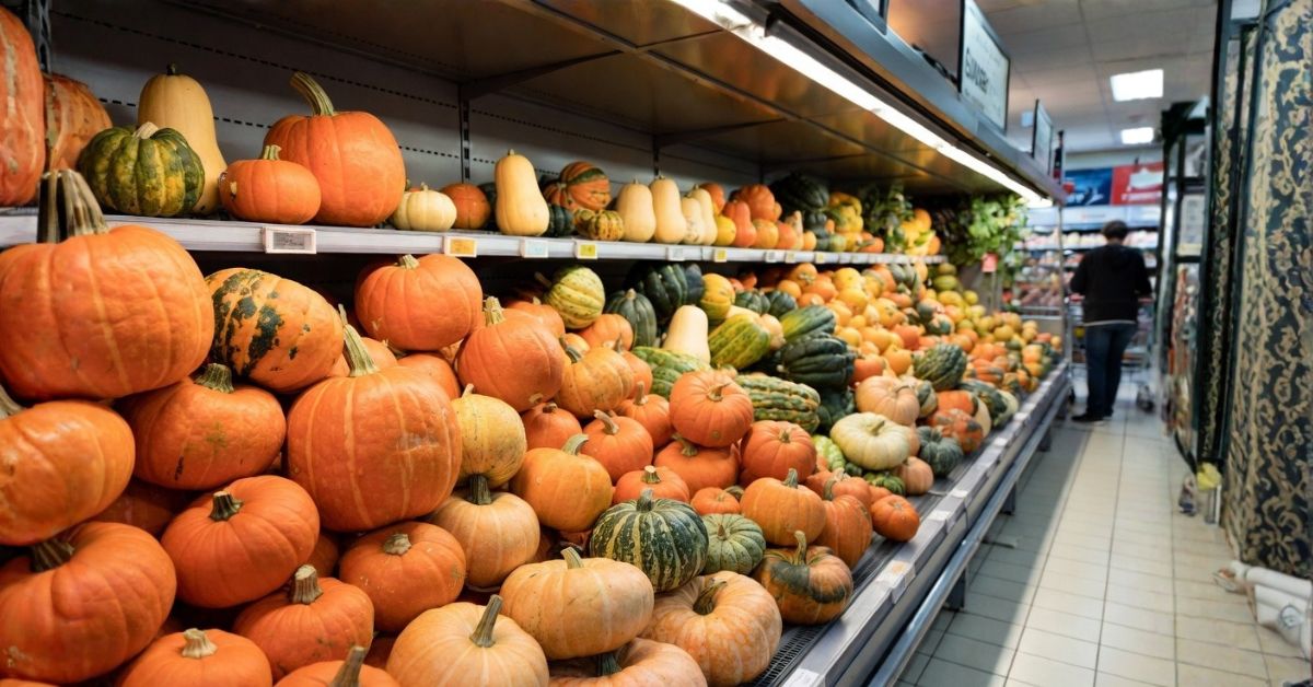 How South African Pumpkins Fill Europe's Supply Gap