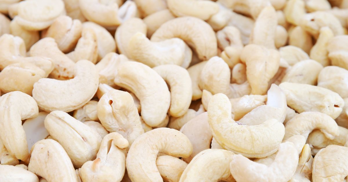 Cashew Kernels Coastal Karnataka’s Reliable Earner