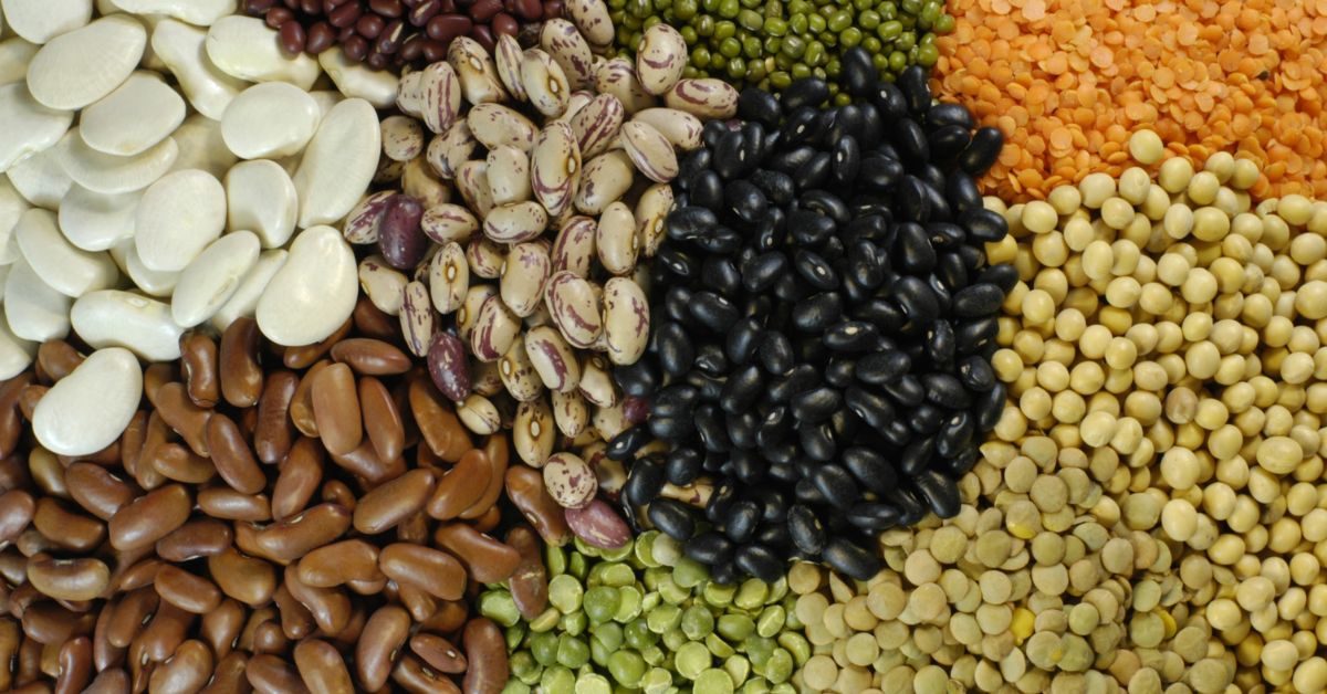 Pulses, The Plant Based Powerhouse