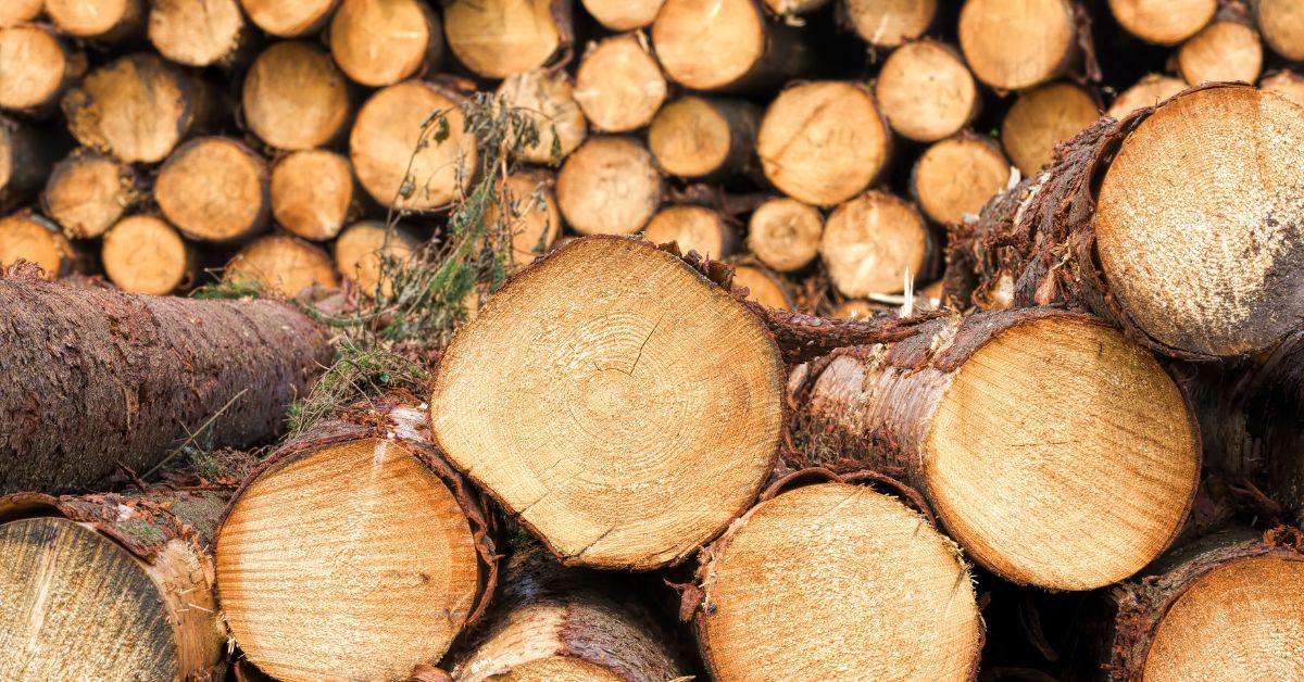 Softwood Lumber, The Backbone Of Construction